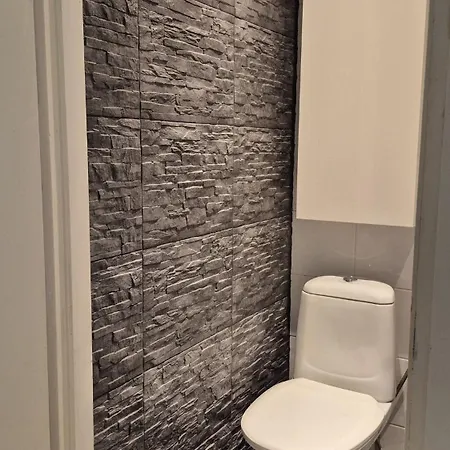 Ydinkeskustan Kaksio Ilmalaempoepumpulla דירה